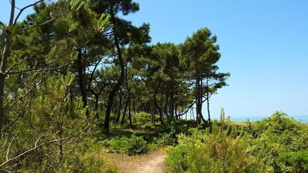 Camping Le Suroit 4 étoiles★★★★