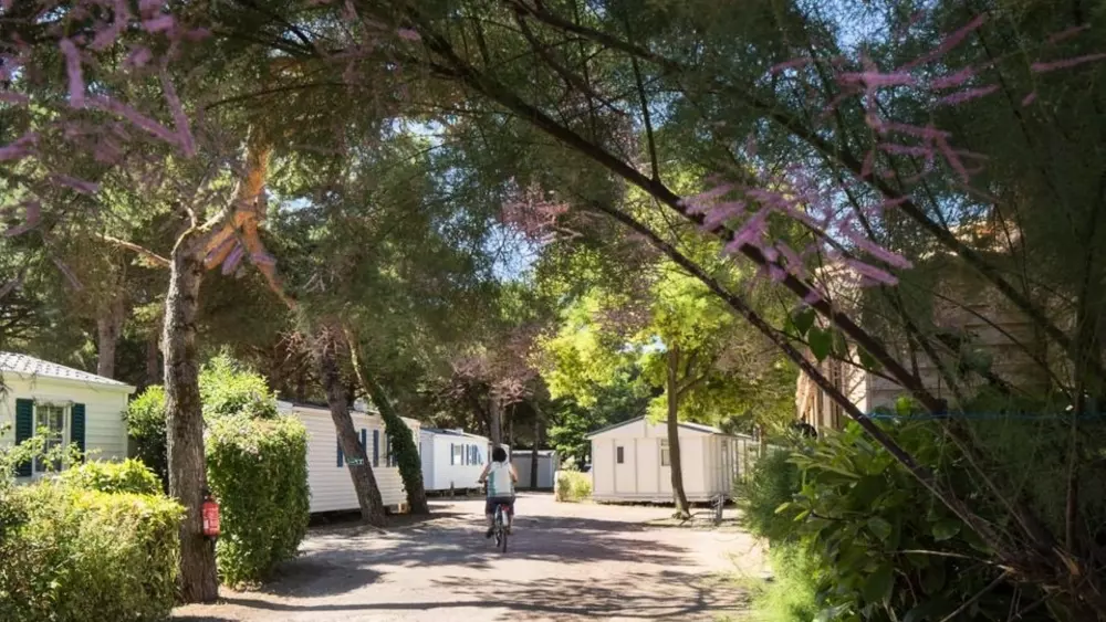 Camping Le Suroit 4 étoiles★★★★