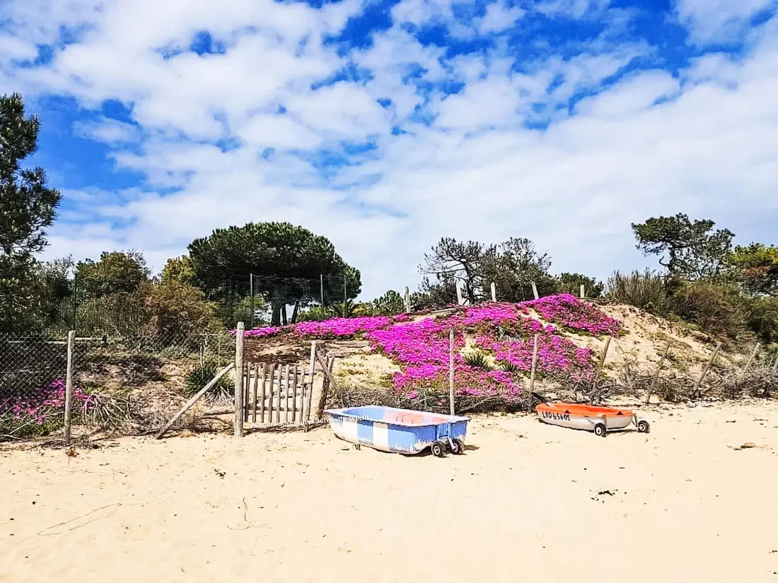 Maison de Vacances Ile d'Oléron