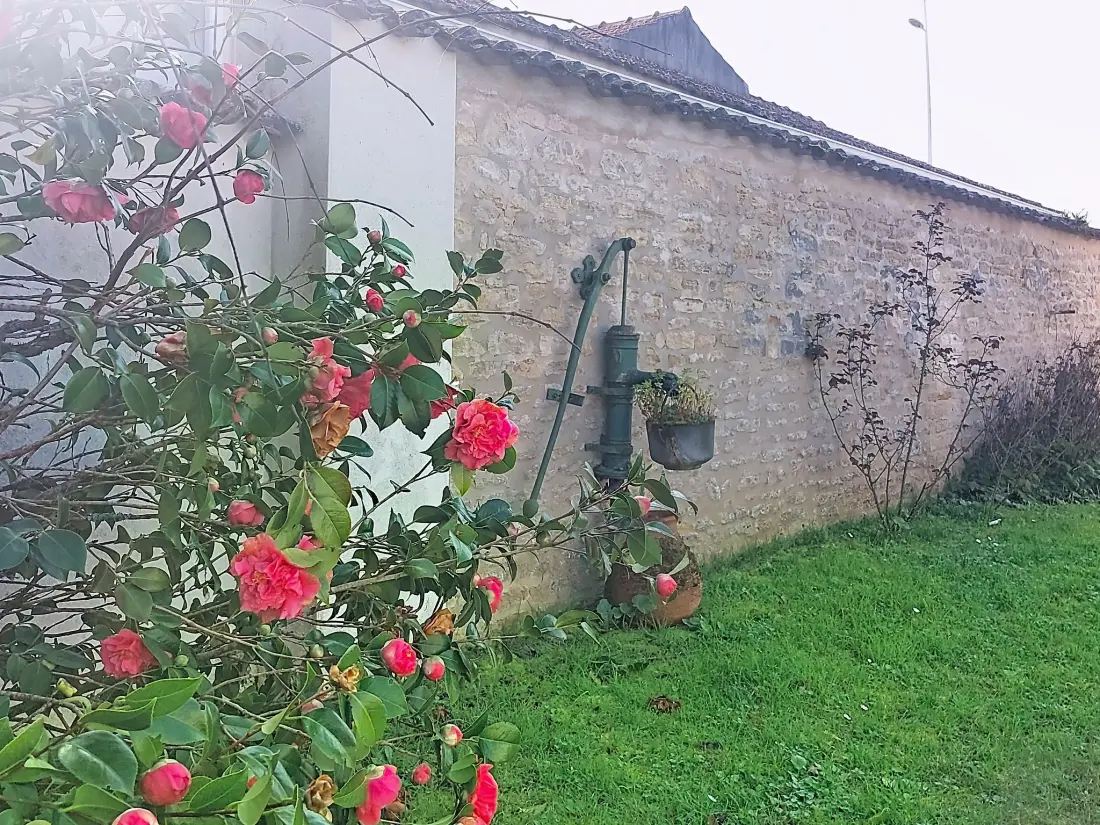 Maison de Vacances Ile d'Oléron