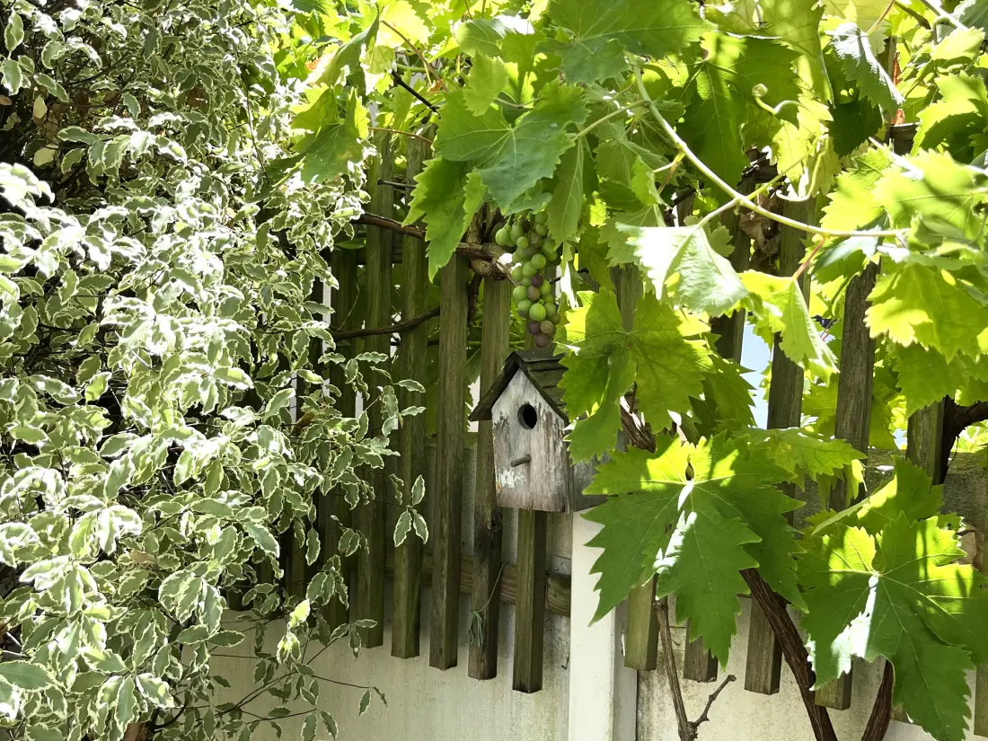 Maison de Vacances Groix 28