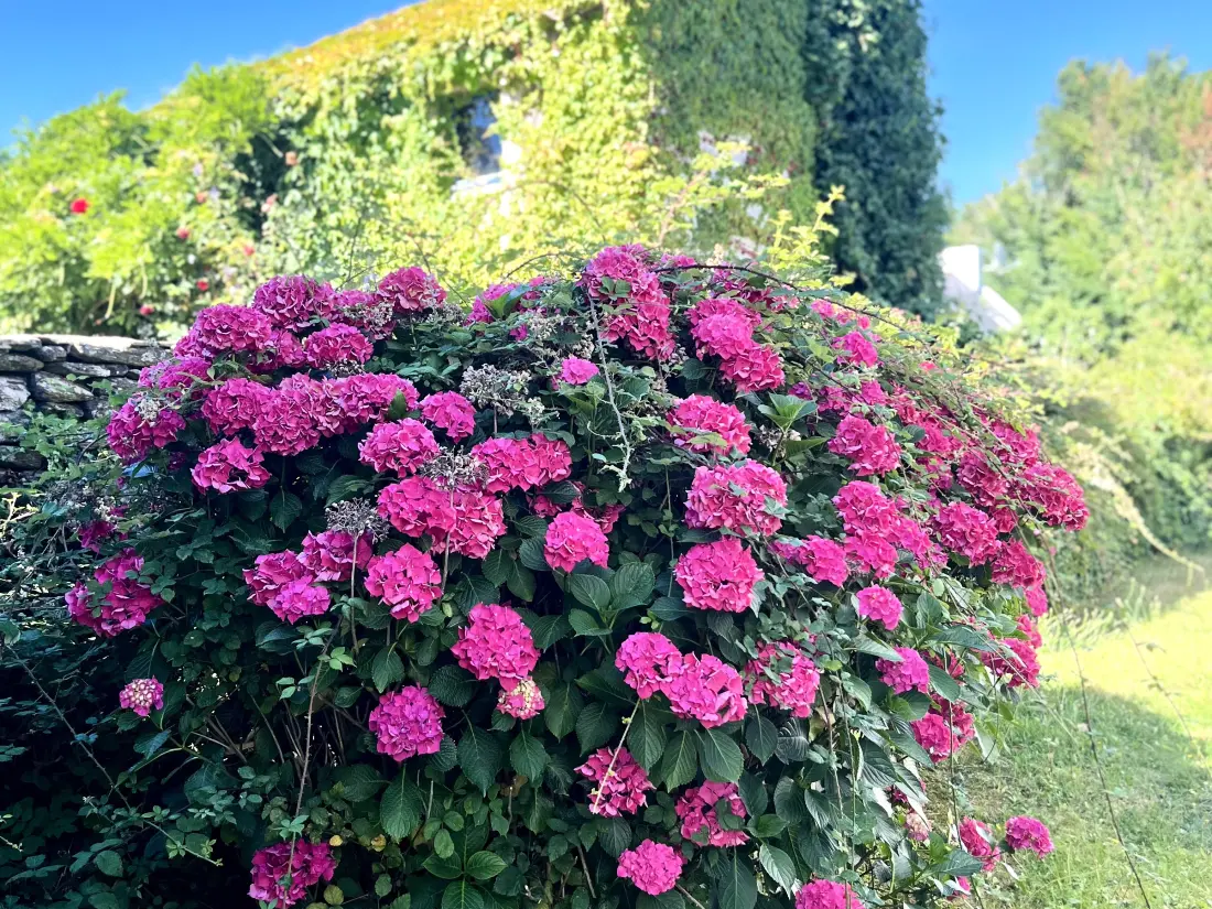 Maison de Vacances Groix 48