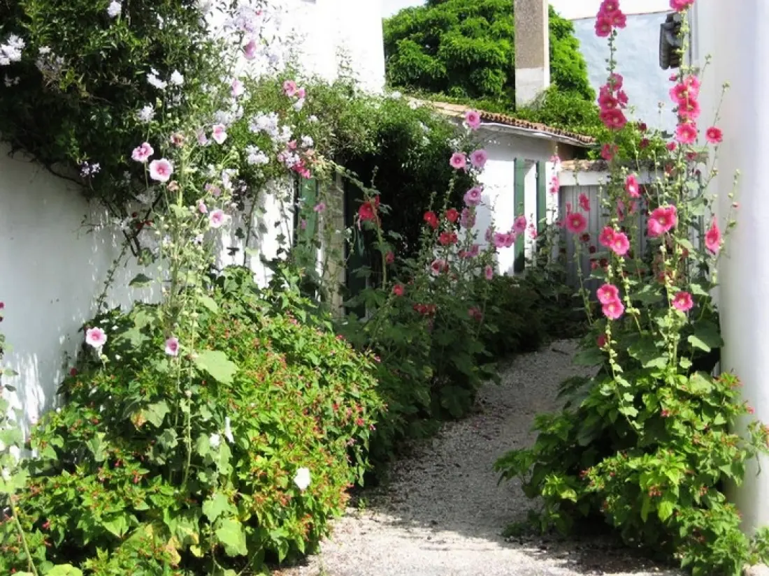 Camping Le Phare3 étoiles★★★