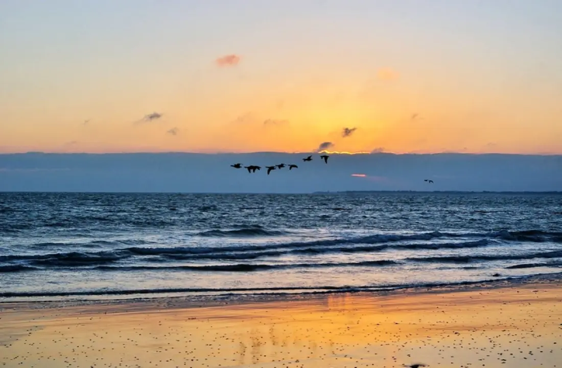 Camping Le Phare3 étoiles★★★