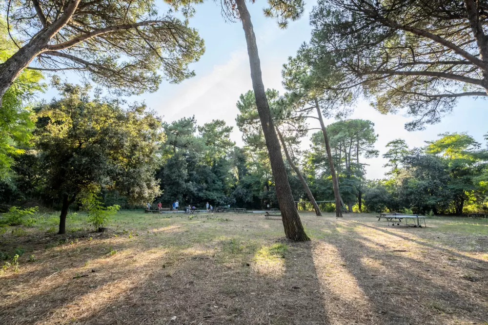 Camping Ushuaia Les Fougères 4 étoiles★★★★