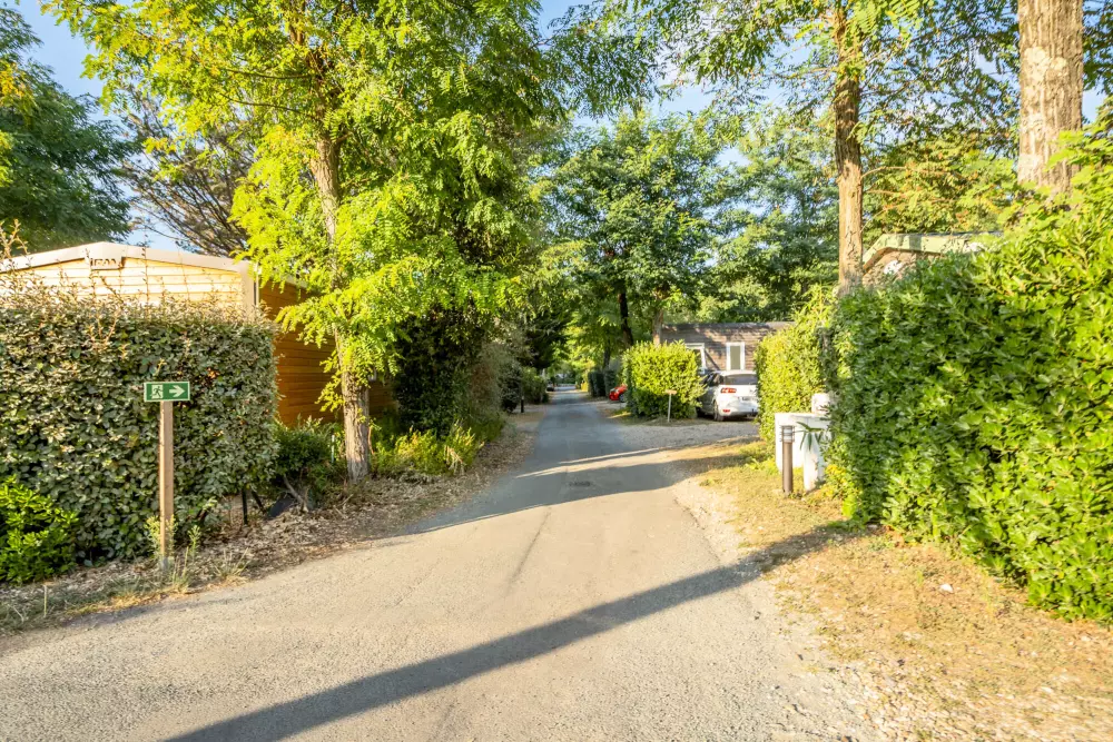 Camping Ushuaia Les Fougères 4 étoiles★★★★