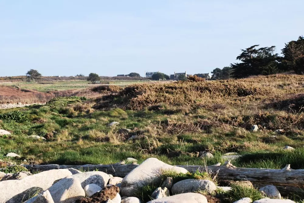 Résidence G104-ile Grande