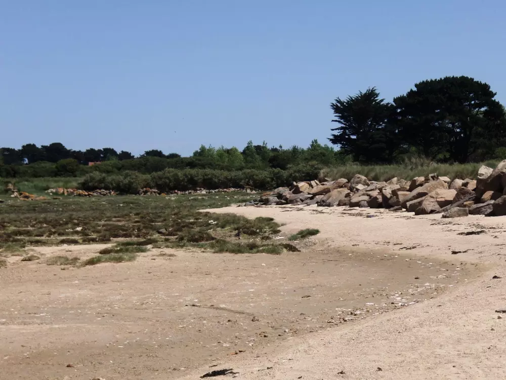 Résidence G104-ile Grande