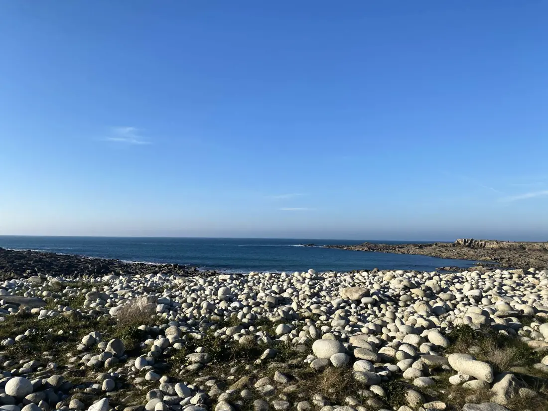 Résidence I22-ile Grande