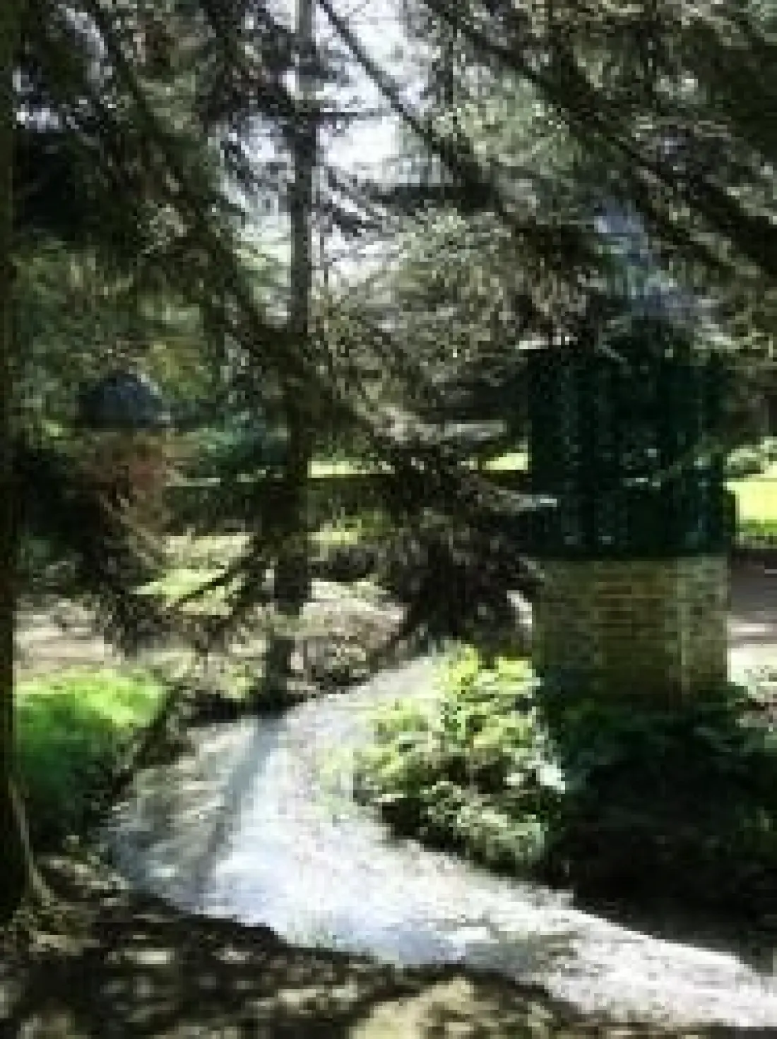 Camping Le Bois Fleuri 3 étoiles★★★