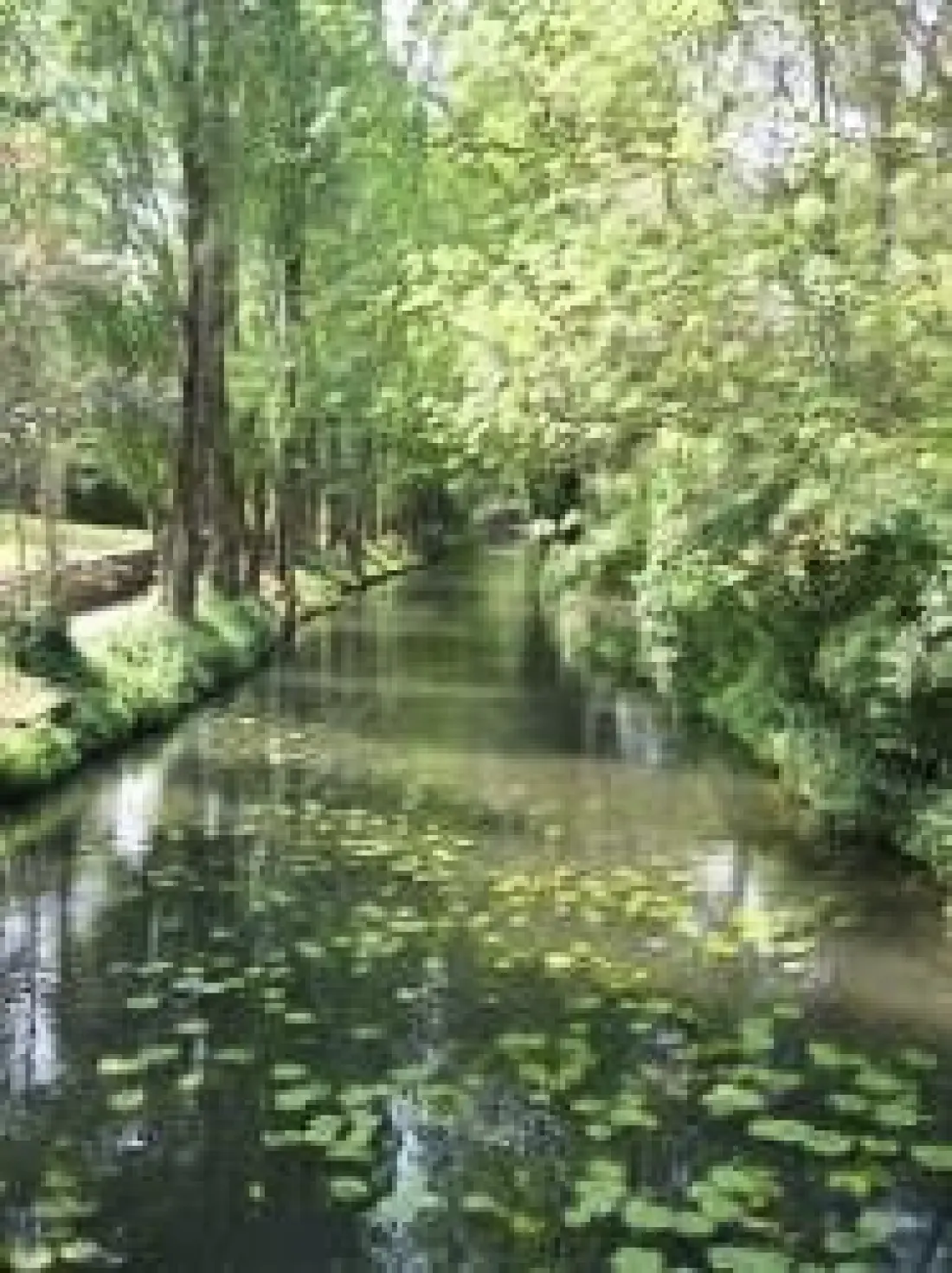 Camping Le Bois Fleuri 3 étoiles★★★