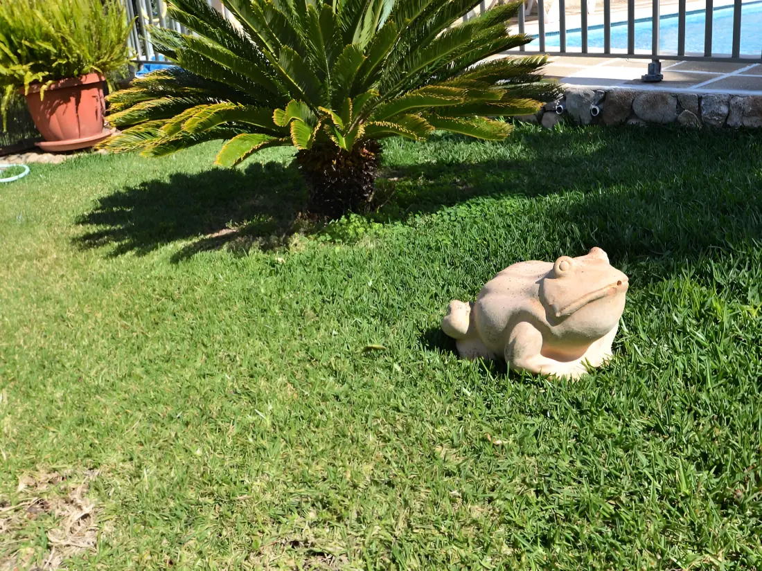 Maison de Vacances Inca 52