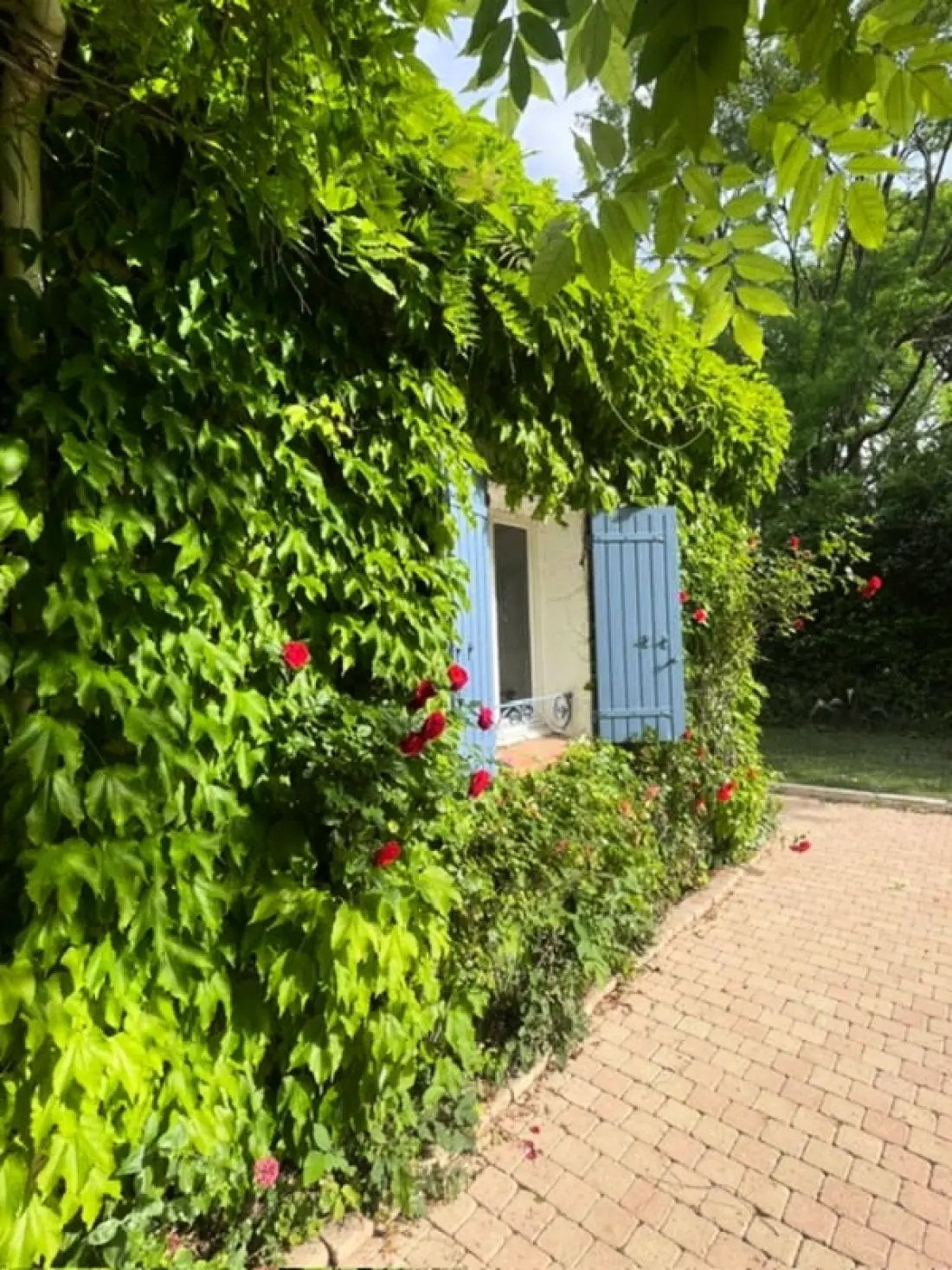 Bastide Azzura - Piscine Privée