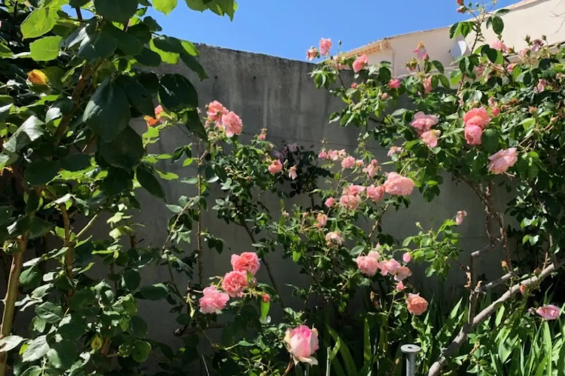 La Maison Rose - Piscine Privée Proche Centre Ville