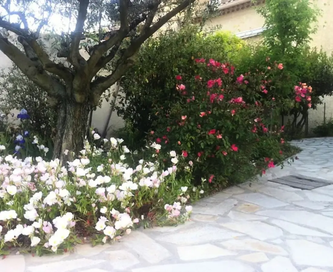 La Maison Rose - Piscine Privée Proche Centre Ville