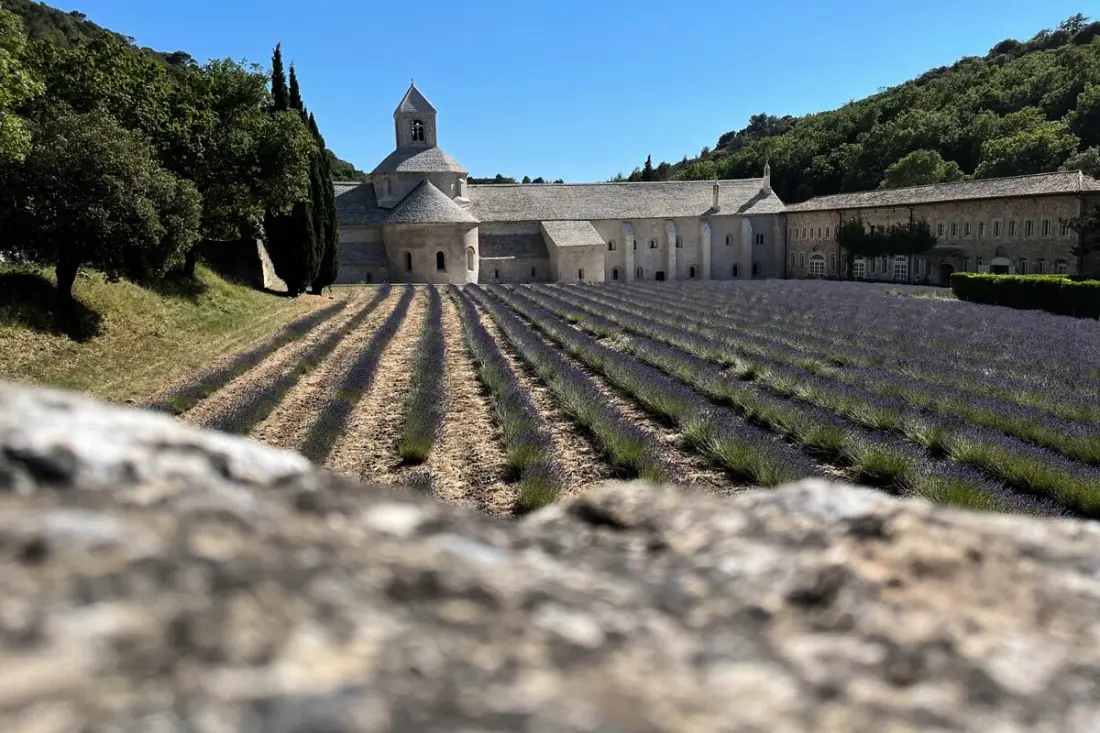 Le Chant Des Cigales