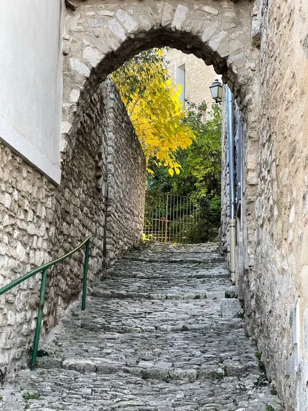 Le Chant Des Cigales