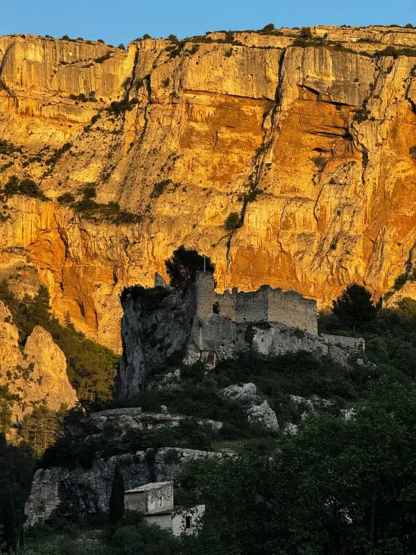 Le Chant Des Cigales