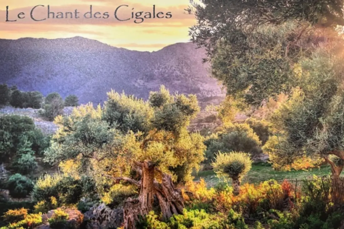 Le Chant Des Cigales