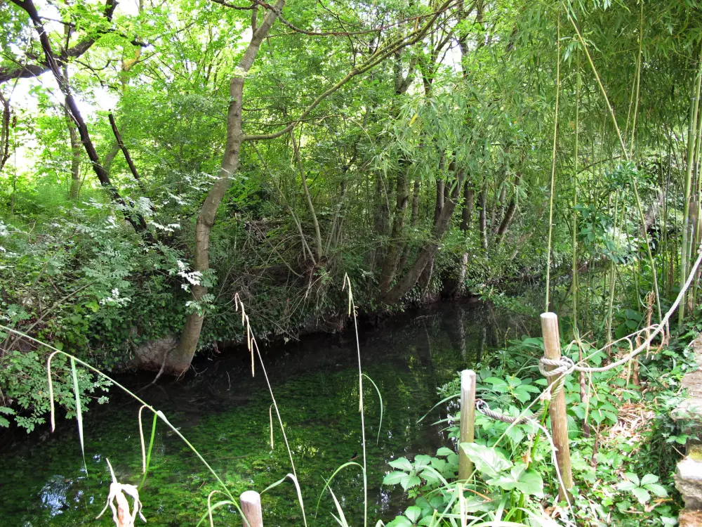 Maison de Vacances L'isle sur la Sorgue