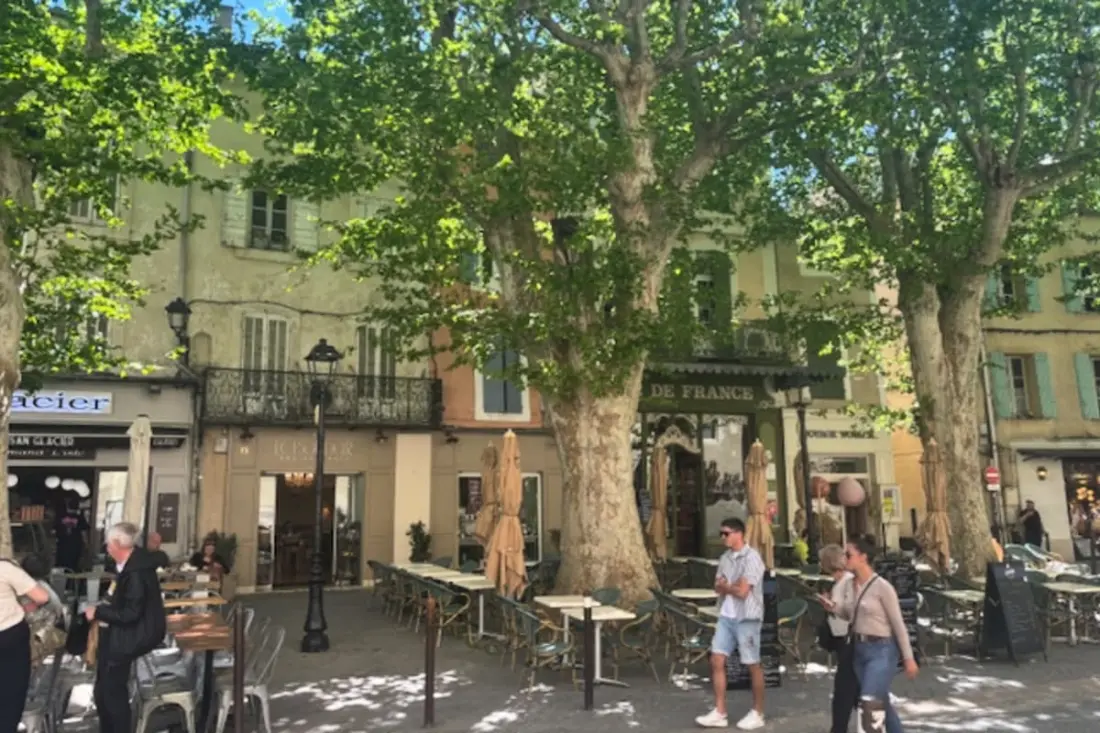 Elivi : Maison De Ville Avec Jardin à Deux Pas Du Centre Historique