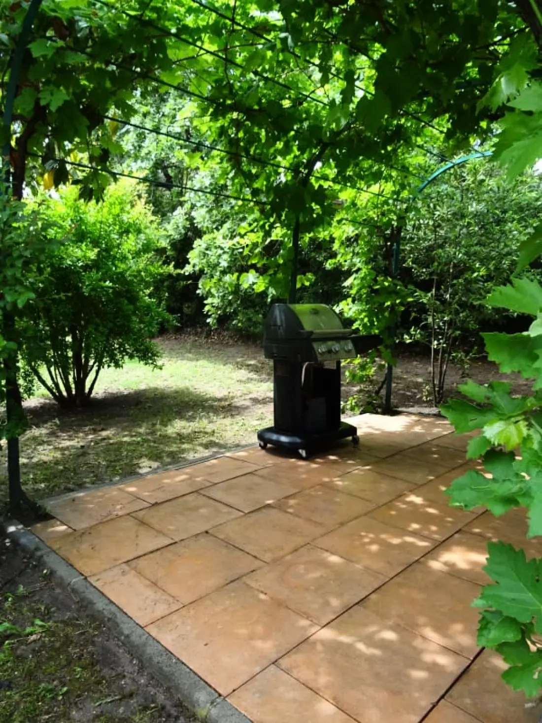 La Mésange Bleue - Piscine Privée