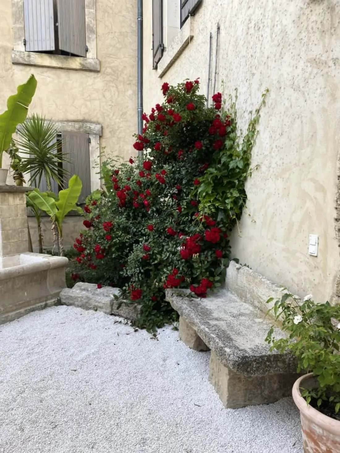 Mas Sylvie - Isle-sur-la-sorgue