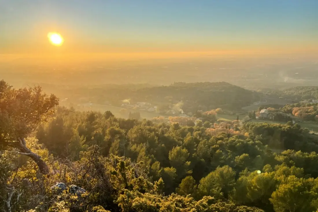 Sous Le Soleil De Provence