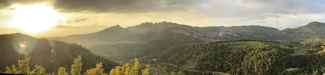 Sous Le Soleil De Provence