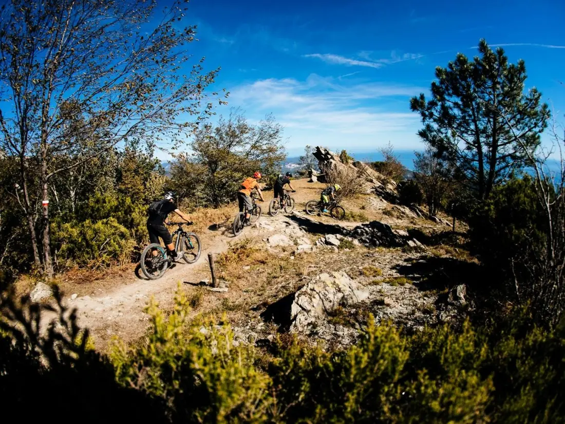 Camping Delle Rose 4 étoiles★★★★