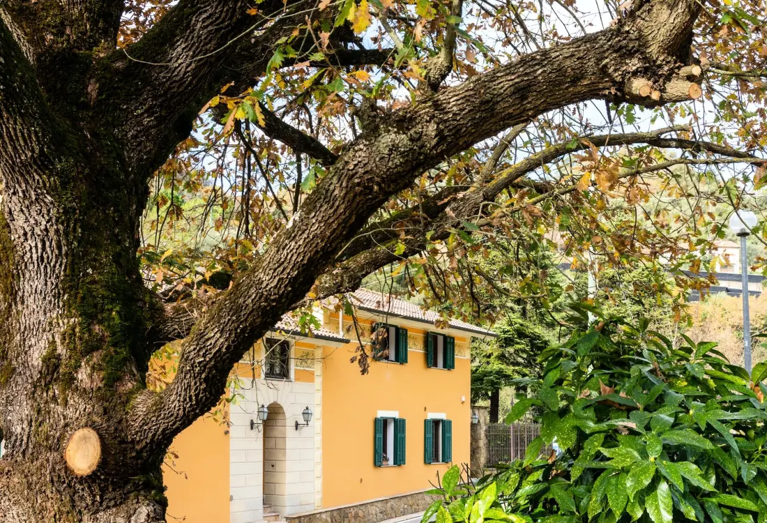Camping Delle Rose 4 étoiles★★★★