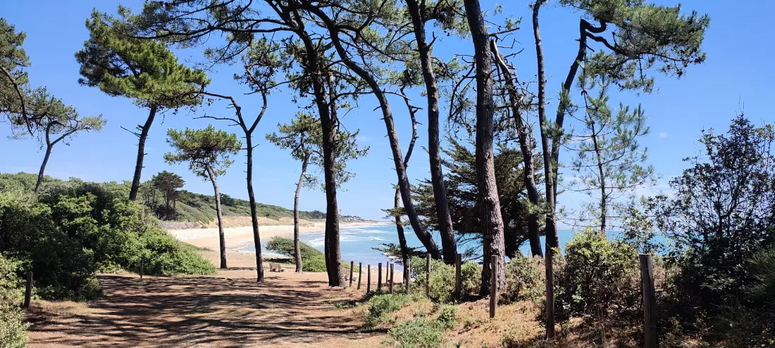 Appartements à Jard sur Mer