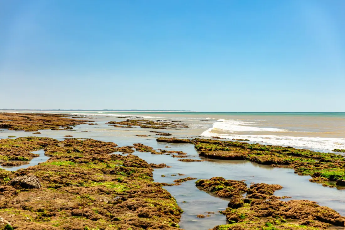 Camping L'Oceano d'Or