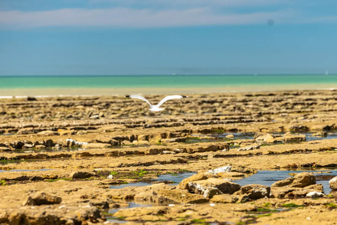 Camping L'Oceano d'Or