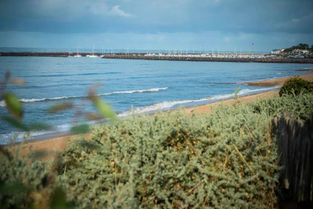 Camping Paradis La Pomme de Pin 41 étoiles★