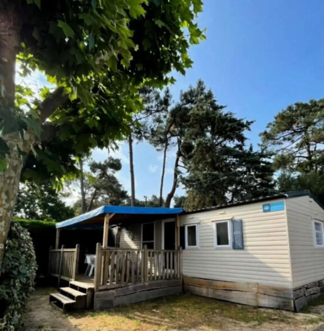 Camping Paradis La Pomme de Pin 4 étoiles★★★★