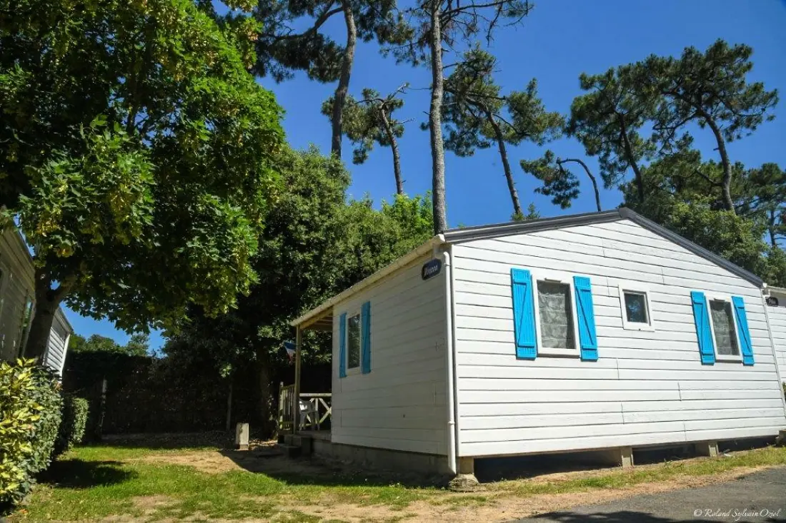 Camping Paradis La Pomme de Pin4 étoiles★★★★