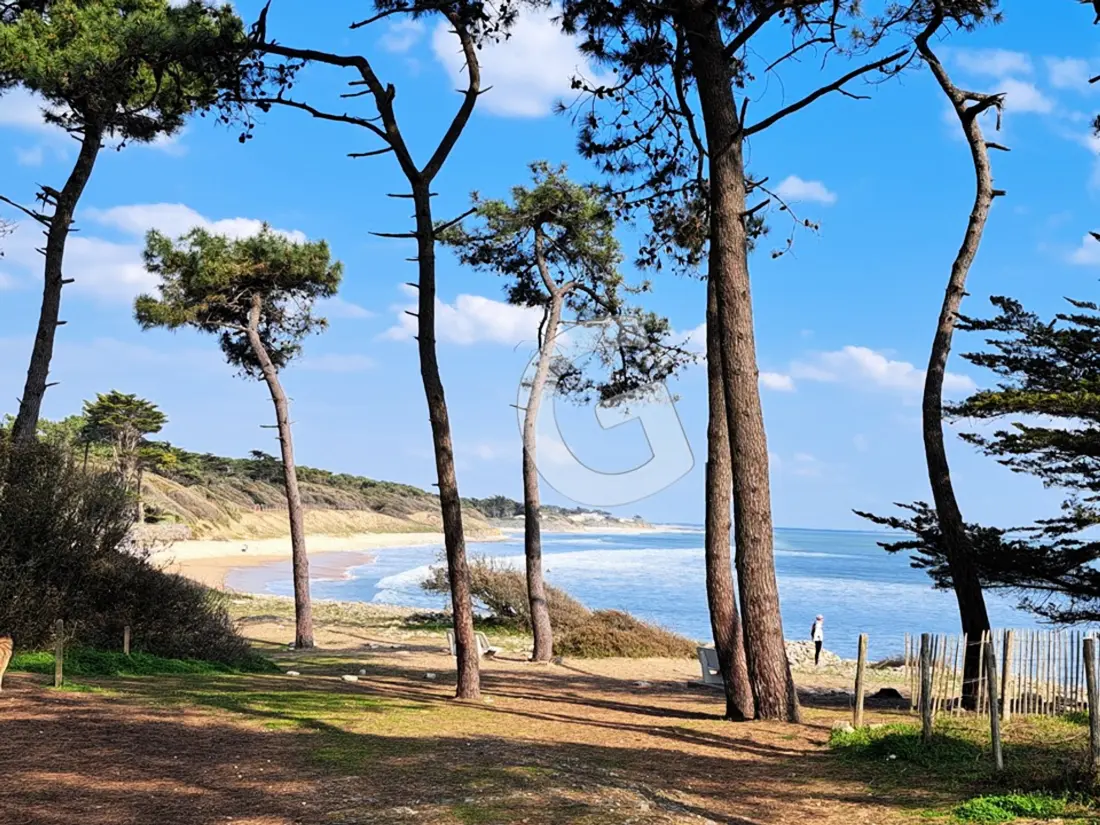 Maison de Vacances Jard-sur-Mer 72