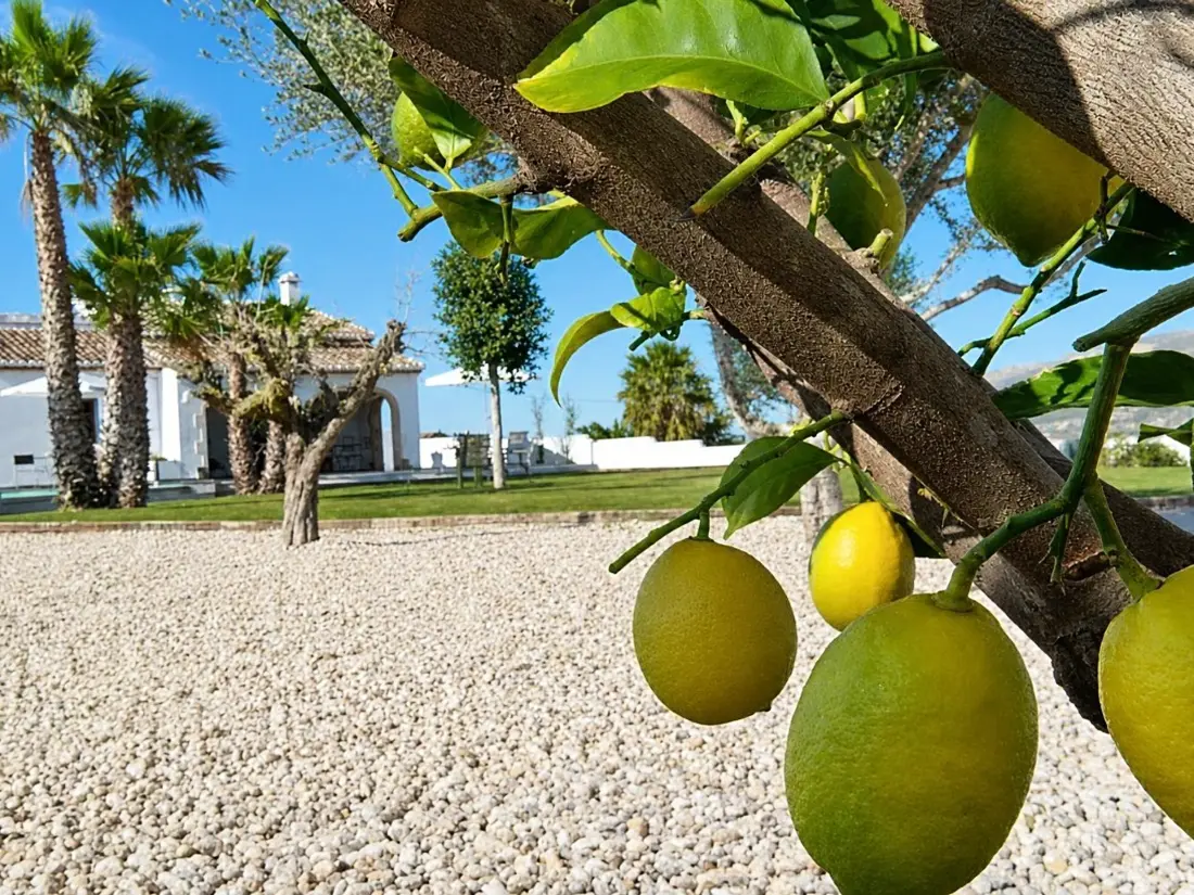 Maison de Vacances Xàbia 789