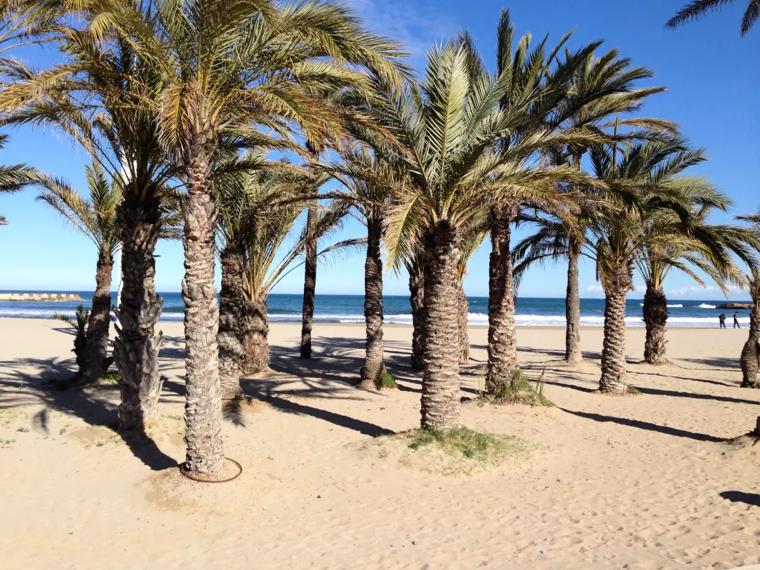 Maison de Vacances Xàbia 914