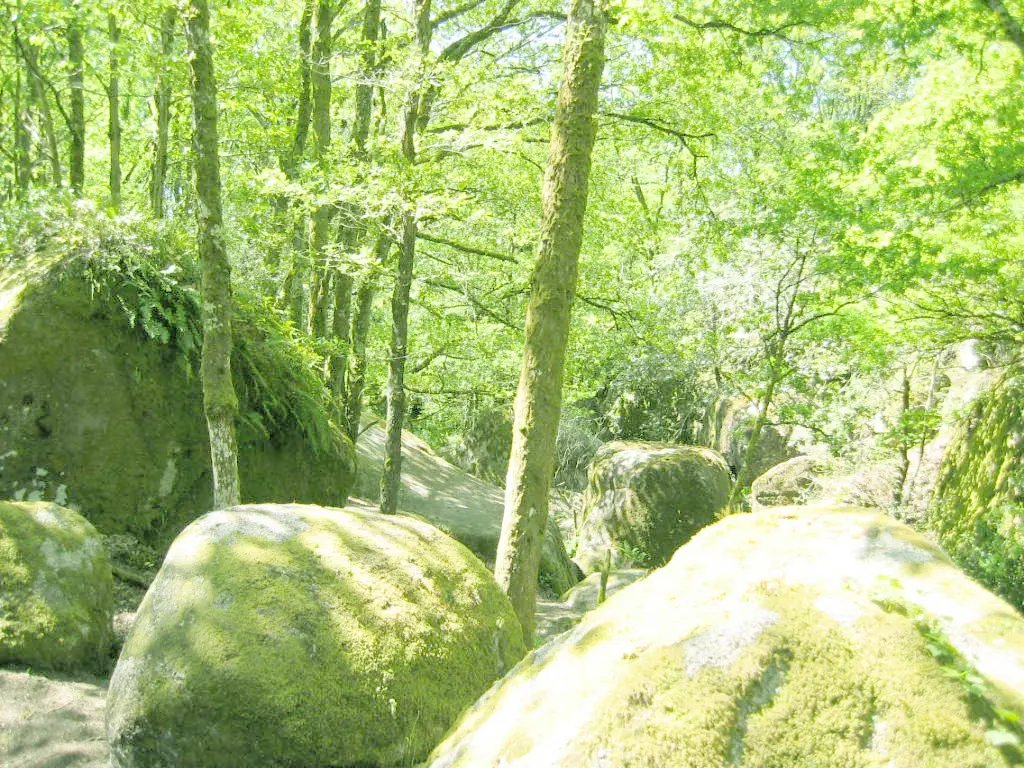 Gîte de France Ecogîte des monts de blond 2 épis