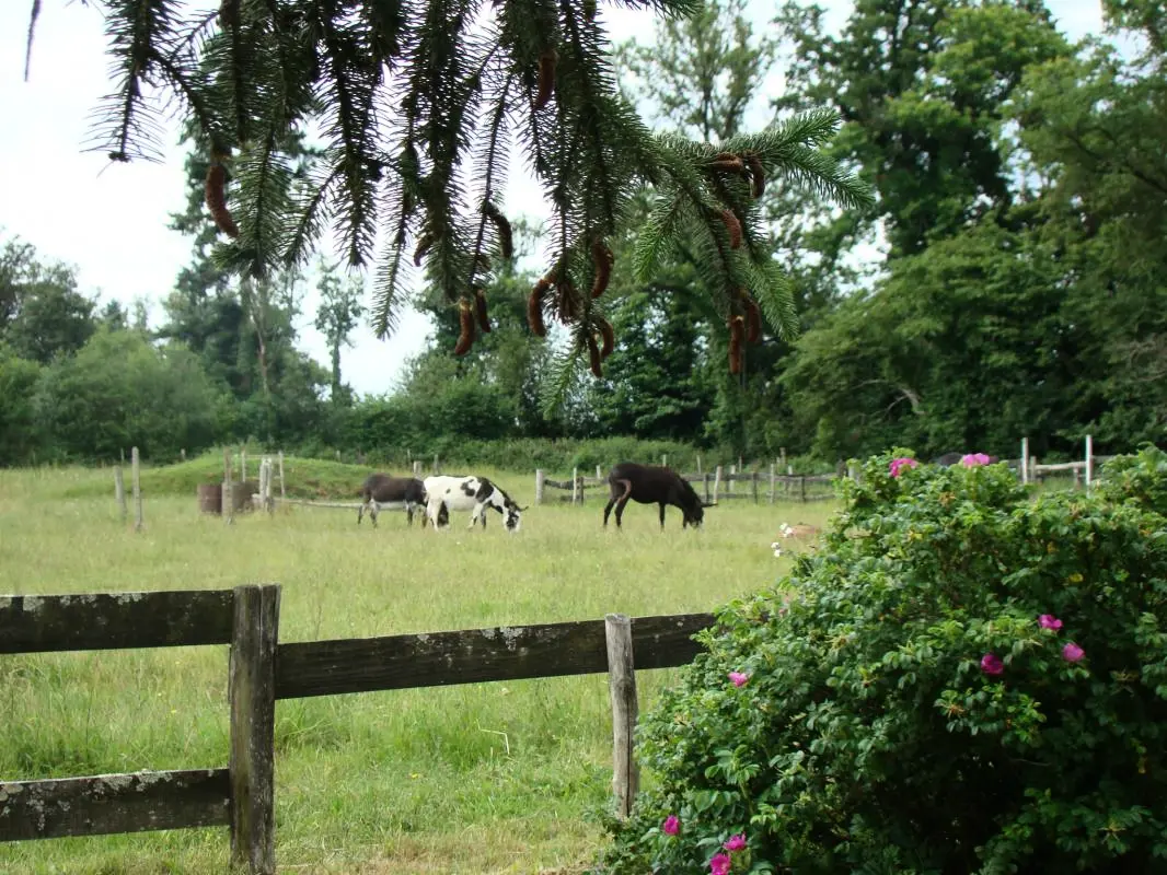 Gîte de France Lou peyrahout 3 épis