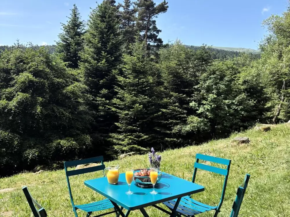 Location de Vacances CHALMAZEL-JEANSAGNIERE 3