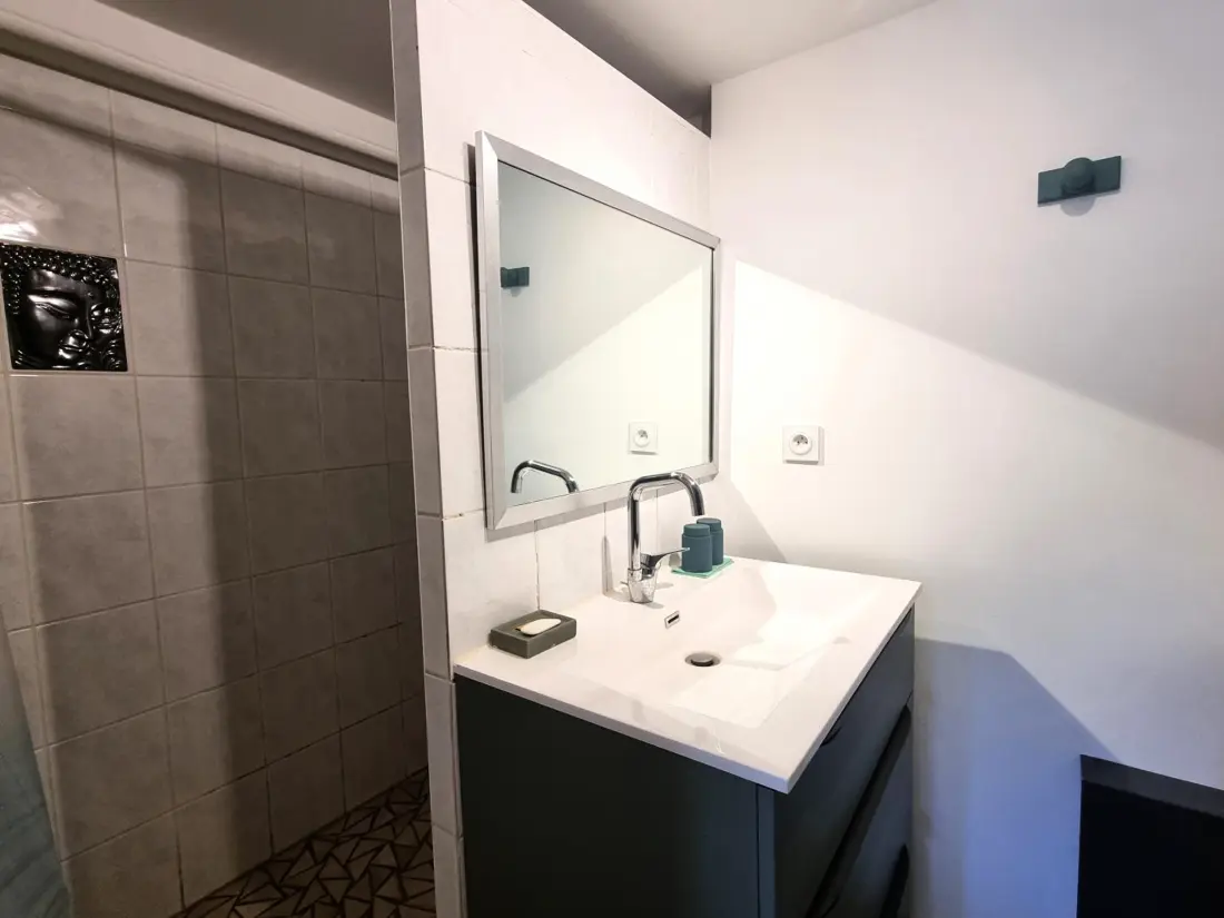Maison de Vacances CHALMAZEL-JEANSAGNIERE 5