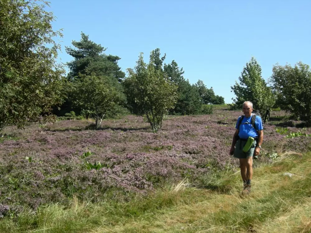 Maison de Vacances Jeansagnière 2