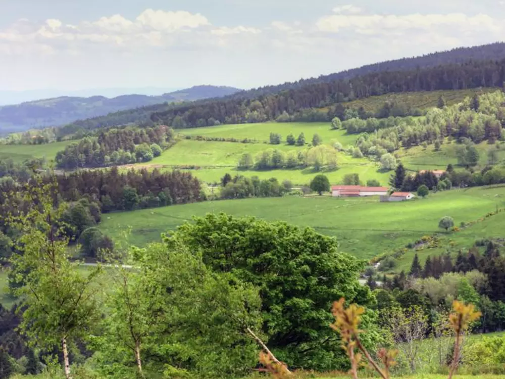Maison de Vacances Jeansagnière 4