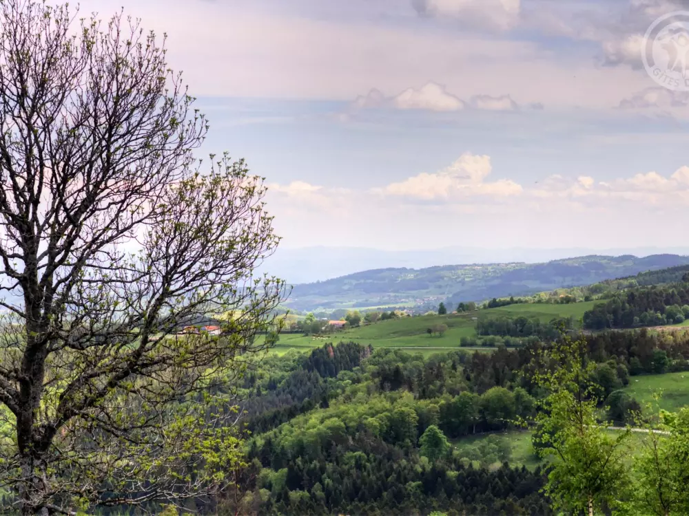 Maison de Vacances Jeansagnière 4
