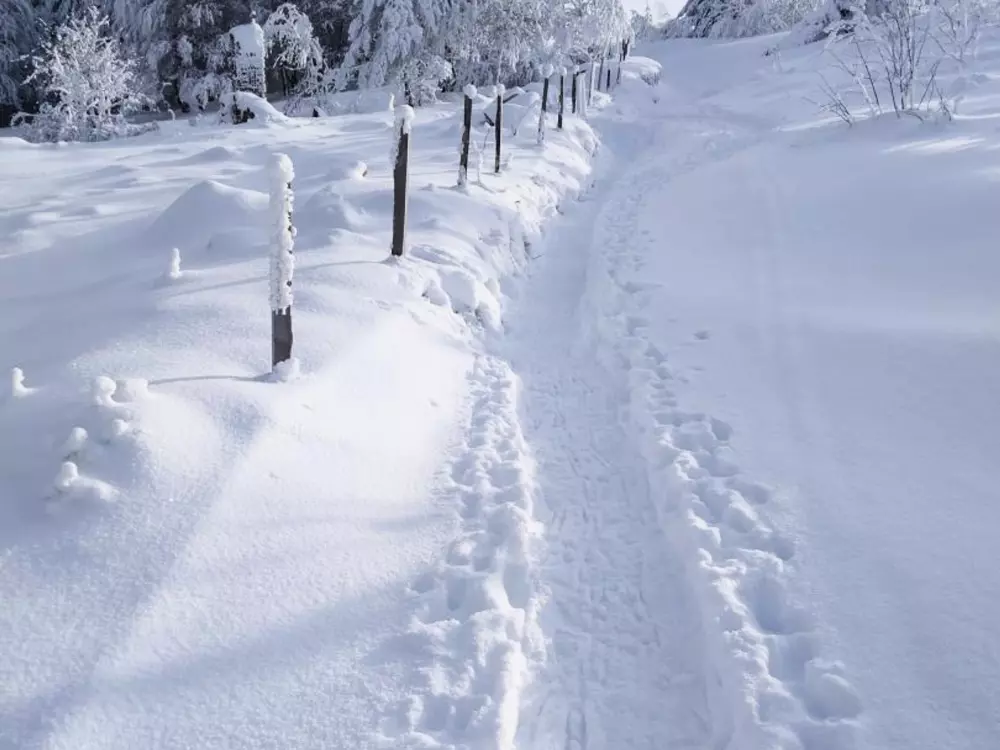 Maison de Vacances Jeansagnière 4
