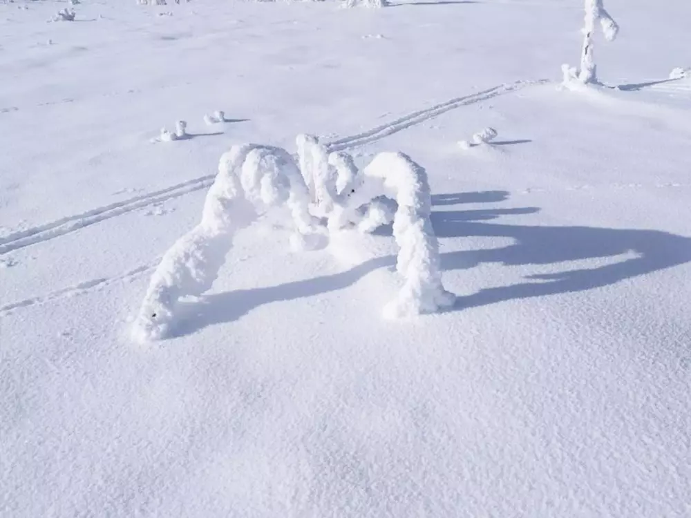 Maison de Vacances Jeansagnière 4