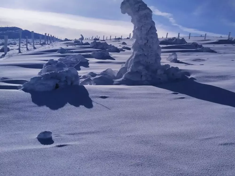 Maison de Vacances Jeansagnière 4